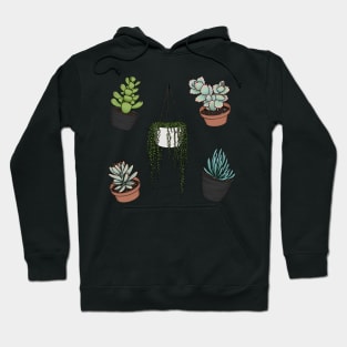 Cute Succulent Sticker Set 1 - Panda Plant, Bear Paws, Lavender Scallops, Blue Chalk Sticks, String of Pearls Hoodie